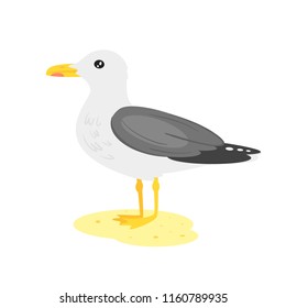 Vector cartoon style seagull. Isolated on white background.