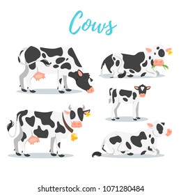 Vector cartoon style set of cows in different positions: gazing, standing, lies on the ground.