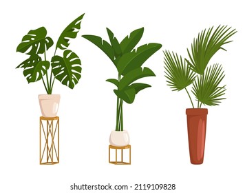 Vector cartoon style set of potted plants