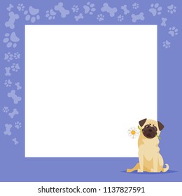 Vector cartoon style video and photo frame background for editing. Cute dog - pug holds a flower in the mouth, on the border with doggy paws footprints and tasty bones.