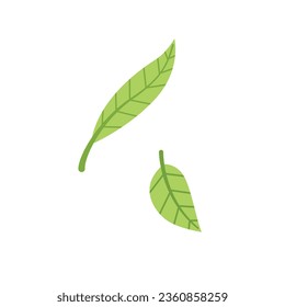 Vector cartoon stylegreen leaves on isolated white background
