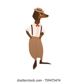 vector cartoon stylized humanized dog character. Male animal in formal clothing, pants on suspenders, hat and red bow standing. isolated illustration on a white background.