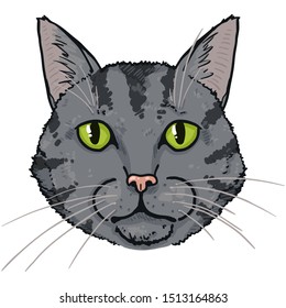 Vector Cartoon Tabby Cat Portrait. Feline Face Illustration.