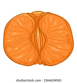 Vector Cartoon Tangerine without Peel. Mandarin Slices