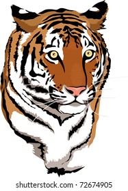 vector cartoon tiger