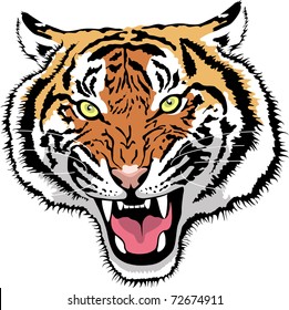 vector cartoon tiger