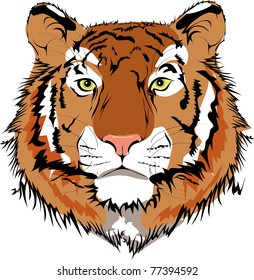 vector cartoon tiger