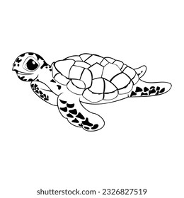 Vector Cartoon Tortoise Character isolated illustration
