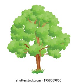 Vector cartoon tree for animation or children illustration.