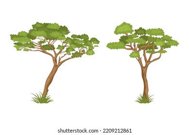 Vector Cartoon Tree Illustration Set. Nature Concept. Green Trees Isolated on White