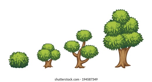 Vector Cartoon Trees And Bush Isolated On White