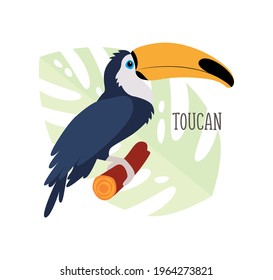 Vector cartoon tropical bird isolated on white background, toucan. Bird sticker. Flat illustration