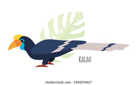
Caricatura vectorial de ave tropical aislada en fondo blanco, kalao. Etiqueta de pájaro. Ilustración plana