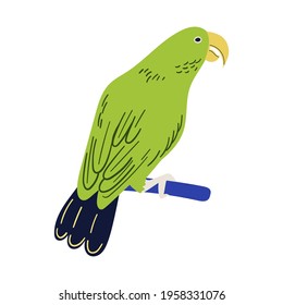Vektorgrafik tropische Illustration mit Amazonaspapagei.