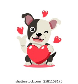 Vector cartoon valentine cute boston terrier dog holding a big red heart for design.