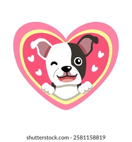 Vector cartoon valentine cute boston terrier dog with big heart for design.