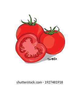 vector cartoon vegetable tomatoes with white background 