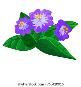 Vector cartoon volumetric purple flover isolated on white