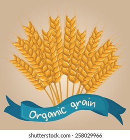 Vector cartoon wheat with blue ribbon