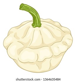 Vector Cartoon White Squash. Patisson Fruit