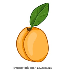 Vector Cartoon Whole Apricot