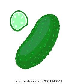 Vector Cartoon Whole and Slice Green Cucumber Isolated on White Background.