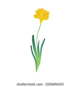 Vector cartoon yellow abstract flower tulip icon. Meadow garden spring easter women day romantic holiday, wedding invitation card decoration element summer floral Illustration white background