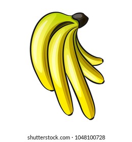 Vector Cartoon Yellow Bananas. Overripe Banana, Single Banana , Bunch of Bananas.