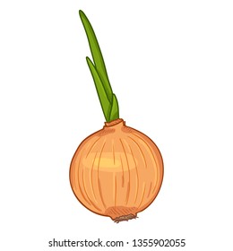 Vector Cartoon Yellow Onion Bulb with Sprout