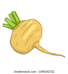 Turnip Cartoon Images, Stock Photos & Vectors | Shutterstock