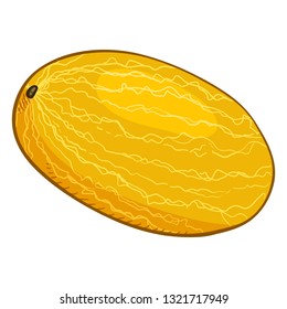 Vector Cartoon Yellow Whole Melon