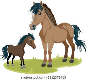 Vector cartoonish illustration of cute Icelandic horses on the green lawn