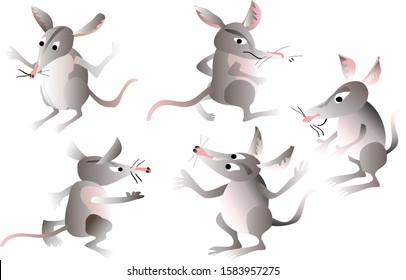 Vector cartoons of Bilbies in different poses