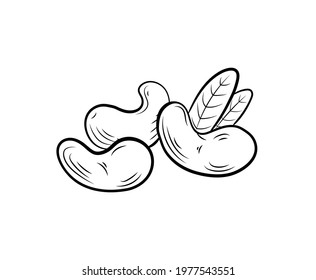 Vector cashew illustration, nuts group with leaves isolated on white background, black lines, engraving style.