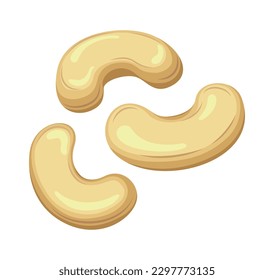 Vector aislado en fondo blanco