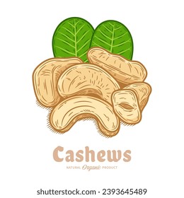Vector cashew nuts hand-drawn colorful illustration