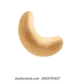 Vector cashew nuts illustration of delicious healthy vegan snack.