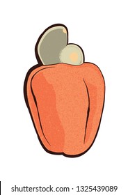 vector cashew on white background, cashew nuts - Vector flat design
