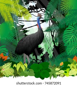 vector cassowary in jungle rainforest