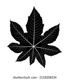 vector castor bean - castor oil plant (Ricinus communis) leaf silhouette isolated on white background