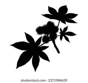 Vector castor bean - castor oil plant (Ricinus communis) leaf silhouette isolated on white background.