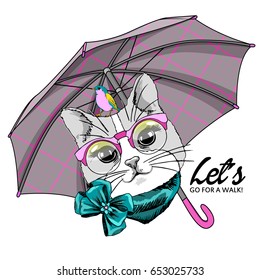 Vector cat with bird, glasses and umbrella. Hand drawn illustration of of dressed kitten.