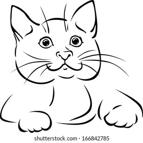 vector cat - black outline illustration 
