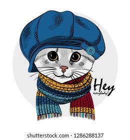 Vector cat with blue hat and knitted  scarf. Hand drawn illustration of dressed cat