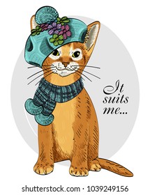 Vector cat with blue knitted hat and scarf. Hand drawn illustration of dressed cat.