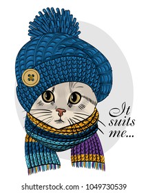 Vector cat with blue knitted hat and scarf. Hand drawn illustration of dressed cat.