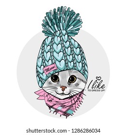 Vector cat with blue knitted hat and pink scarf. Hand drawn illustration of dressed cat