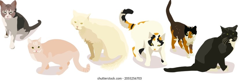 Vector cat breeds. Domestic cats. For printing on fabric.