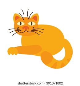 Vector cat. Character cartoon cat. Cat template isolated.