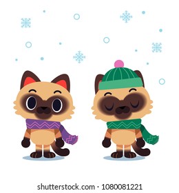 Vector cat characters wearing scarf and winter hat isolated on white background 